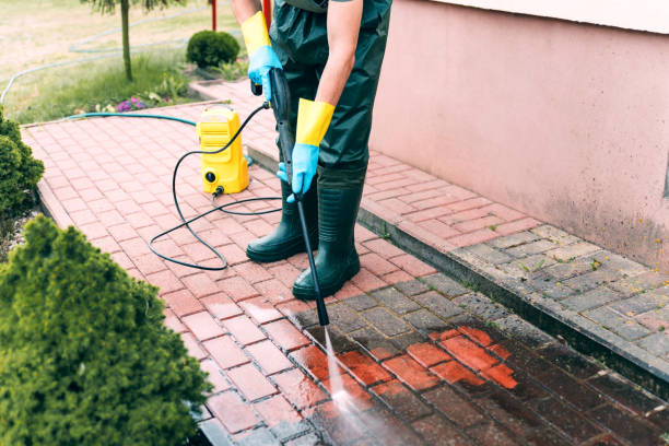 Best Pressure Washing Driveway  in Darrington, WA
