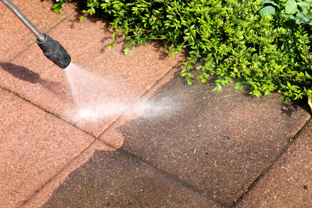  Darrington, WA Pressure Washing Pros
