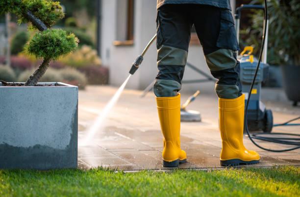Best Pressure Washing Siding  in Darrington, WA